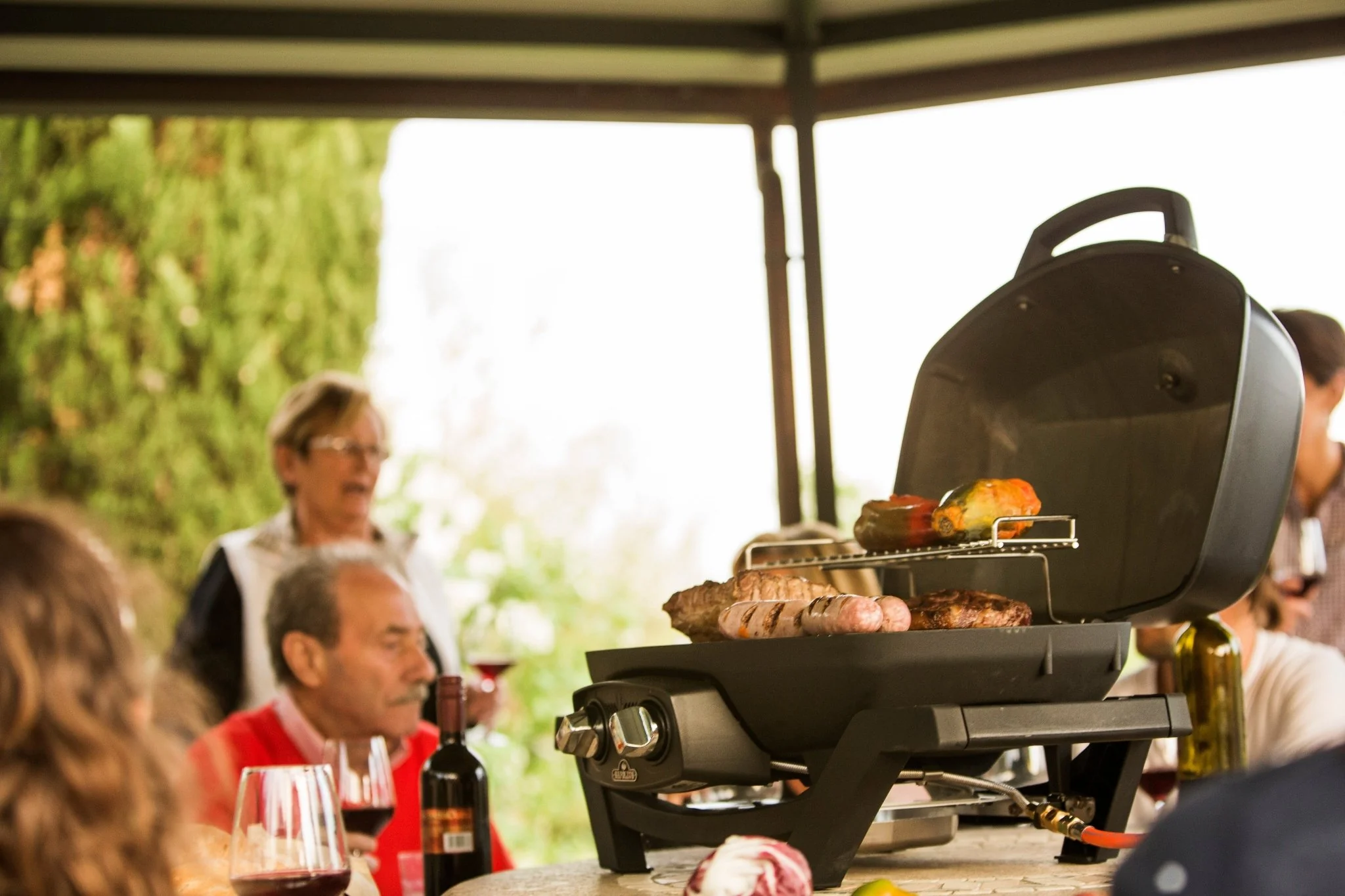 Napoleon TravelQ PRO285 Propane BBQ - Image 6