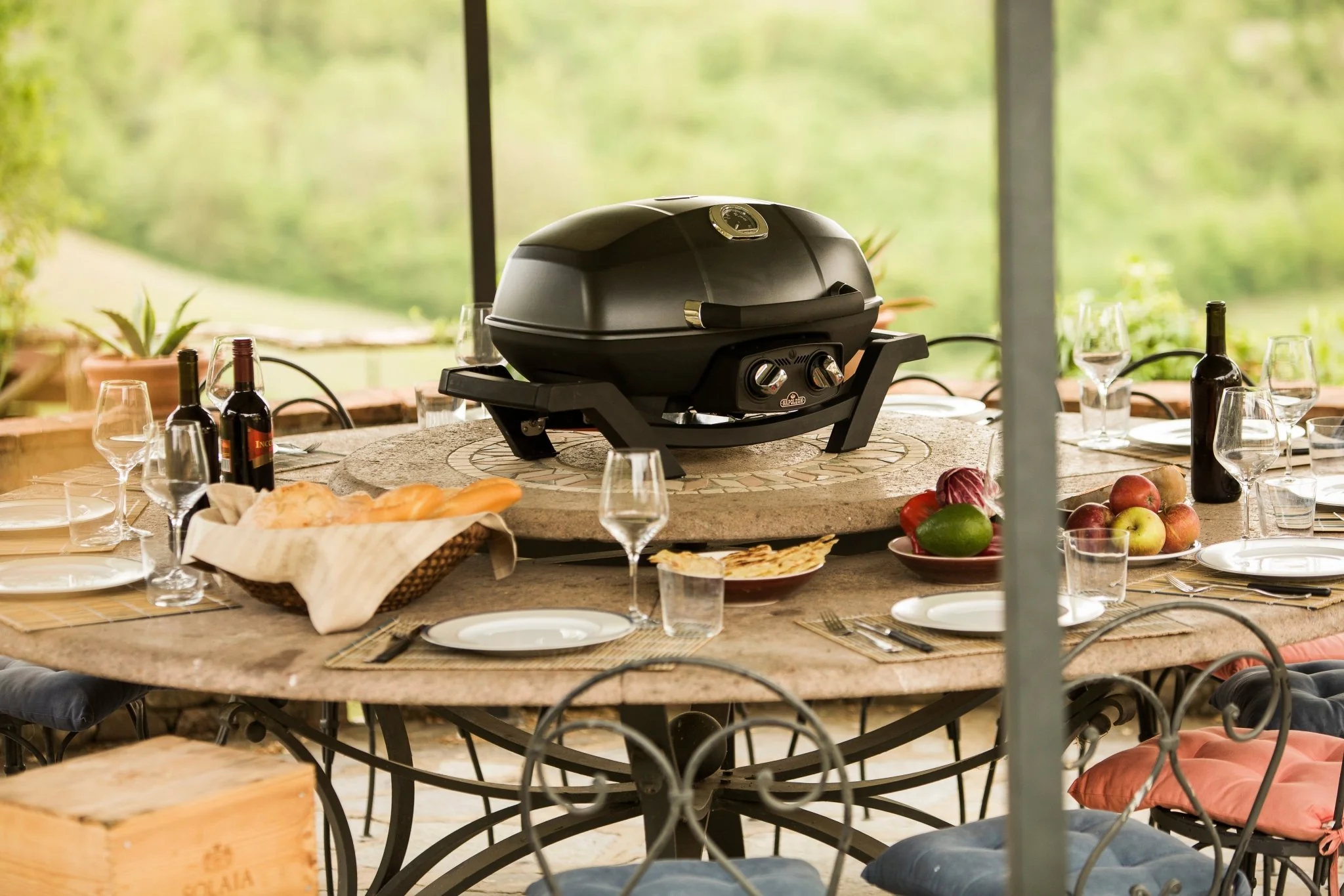 Napoleon TravelQ PRO285 Propane BBQ - Image 7